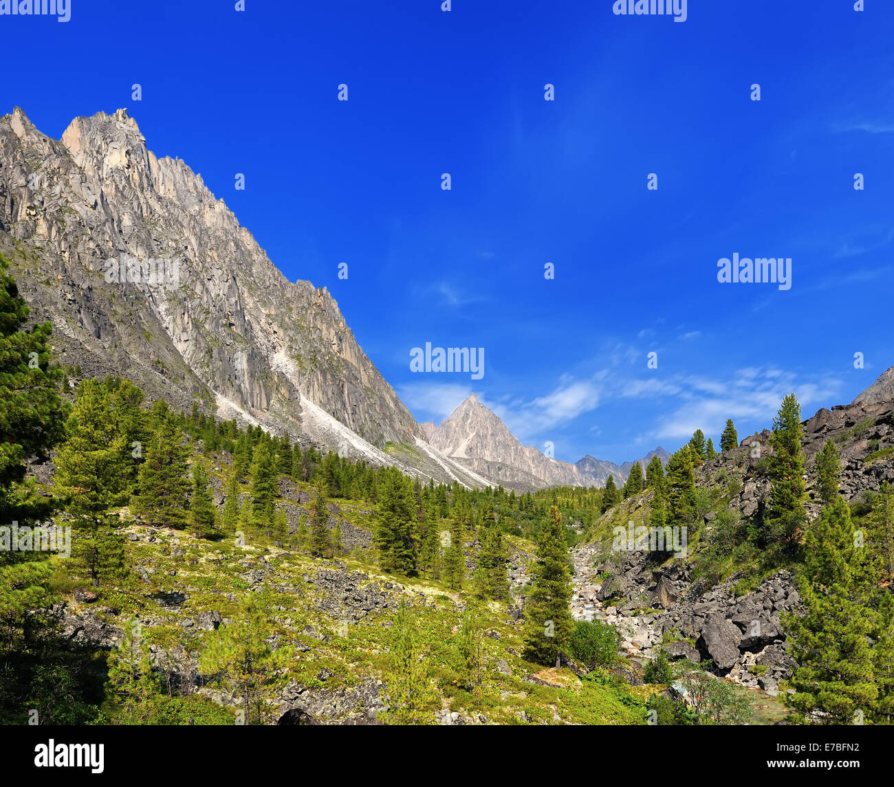 Sonnigen Tag in einem sibirischen Bergtal. Barun-Handagay. Sajan-Gebirge. Burjatien Stockfoto