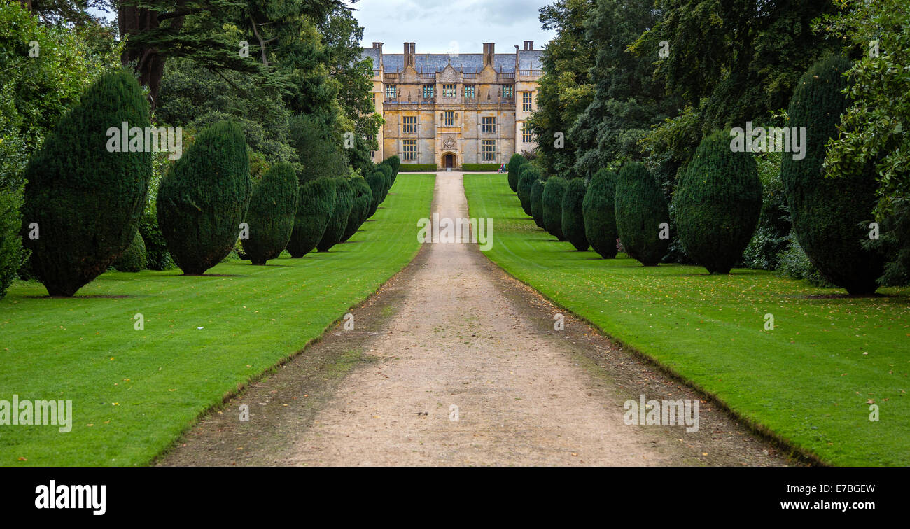 Auffahrt zum Montacute House in Somerset flankiert von Rasenflächen und abgeschnitten Eiben England UK Stockfoto
