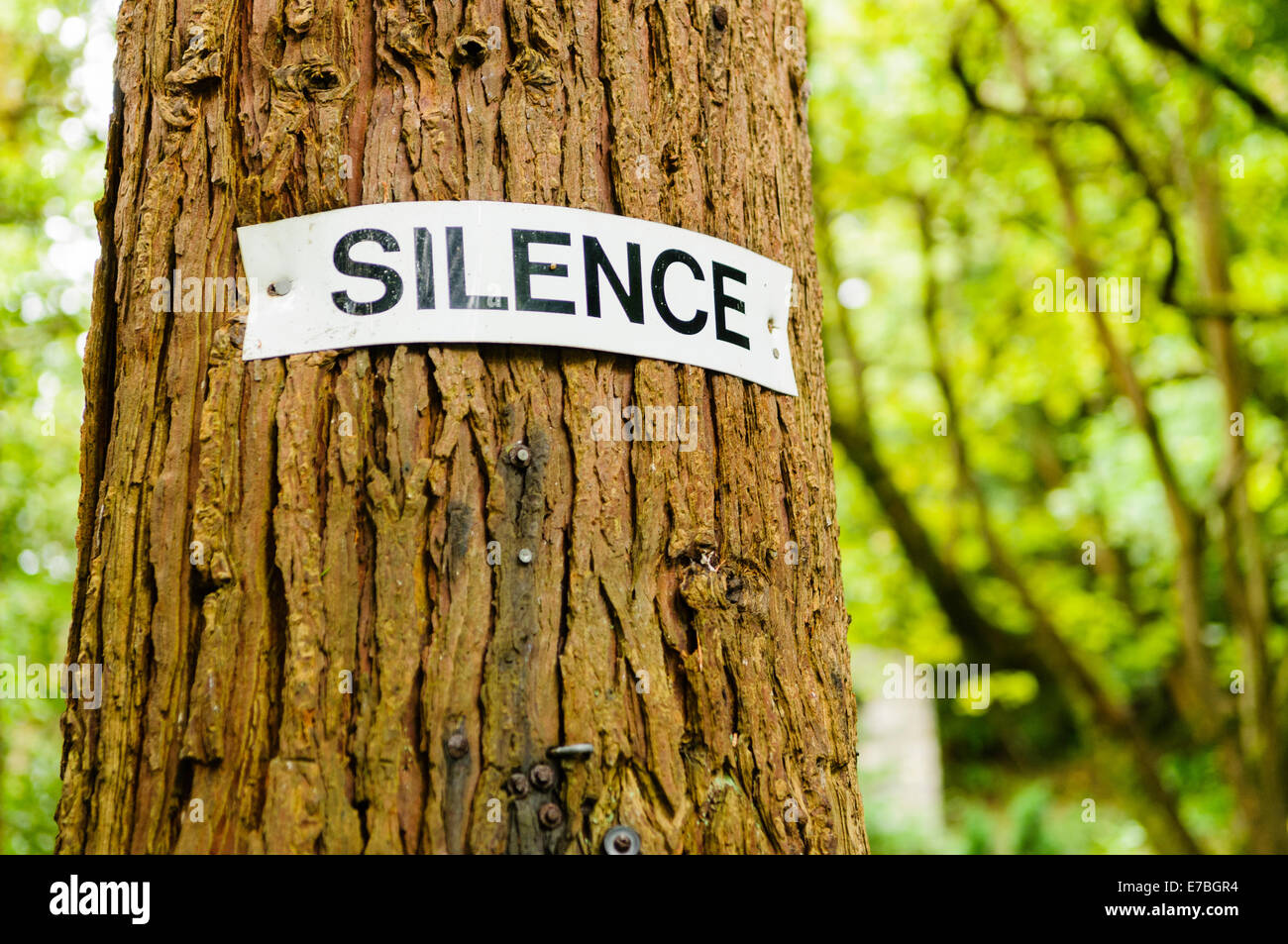 "Silence" melden Sie an einem Baum auf einem heiligen Schrein Stockfoto