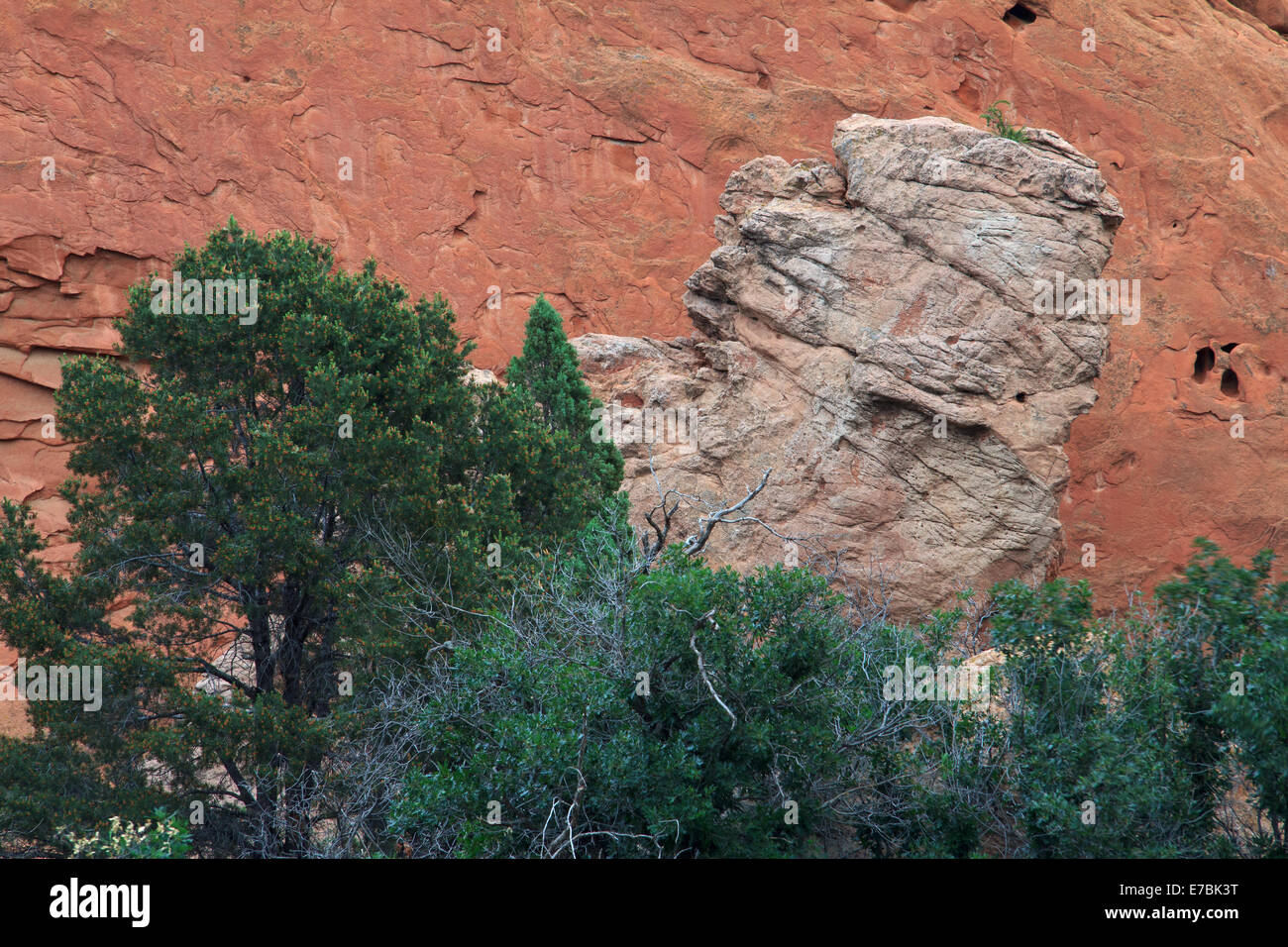 Weiße Boulder gegen Buntsandstein und grünen Bäumen im Garten der Götter Stockfoto