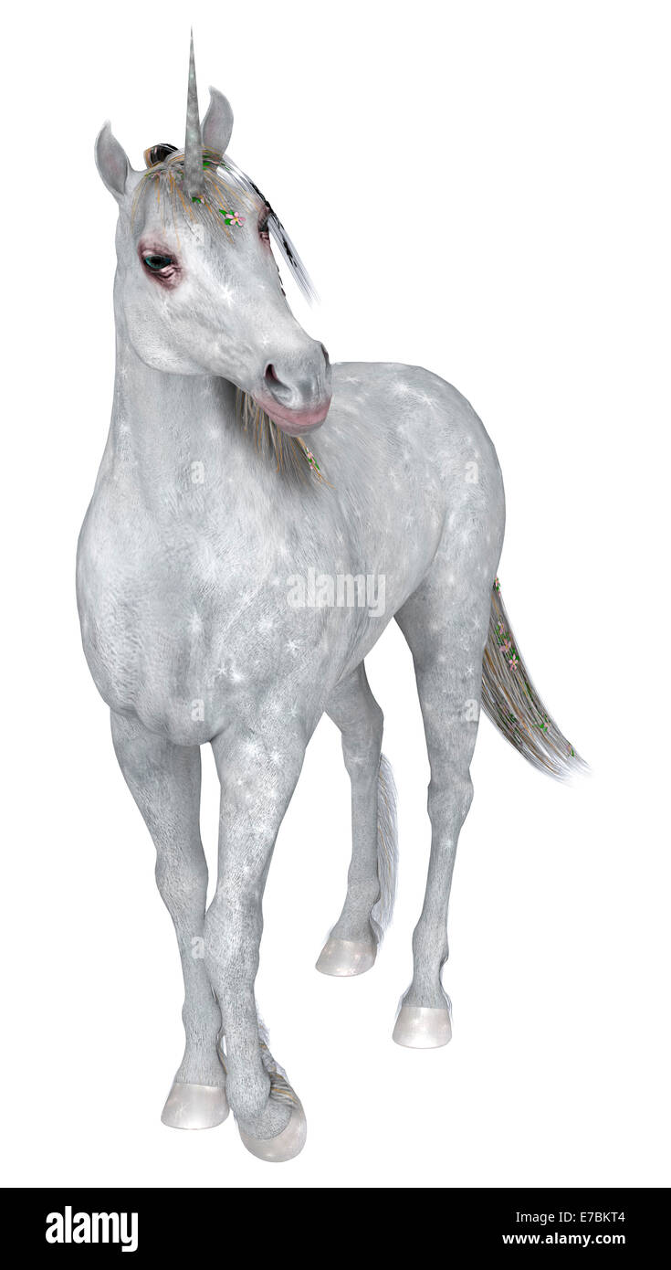 unicorn-creature-fantasy-mythology-horn-fotos-und-bildmaterial-in