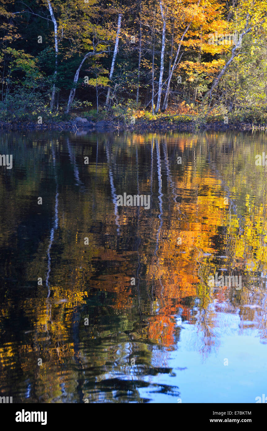 Reflexion der schönen Herbst Blätter auf See Stockfoto