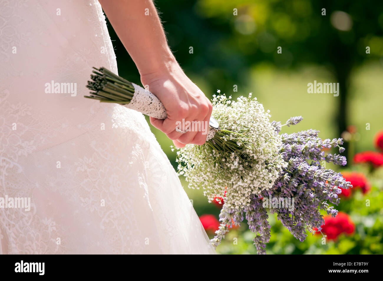 Detail der Braut mit Duft von Lavendel. Stockfoto