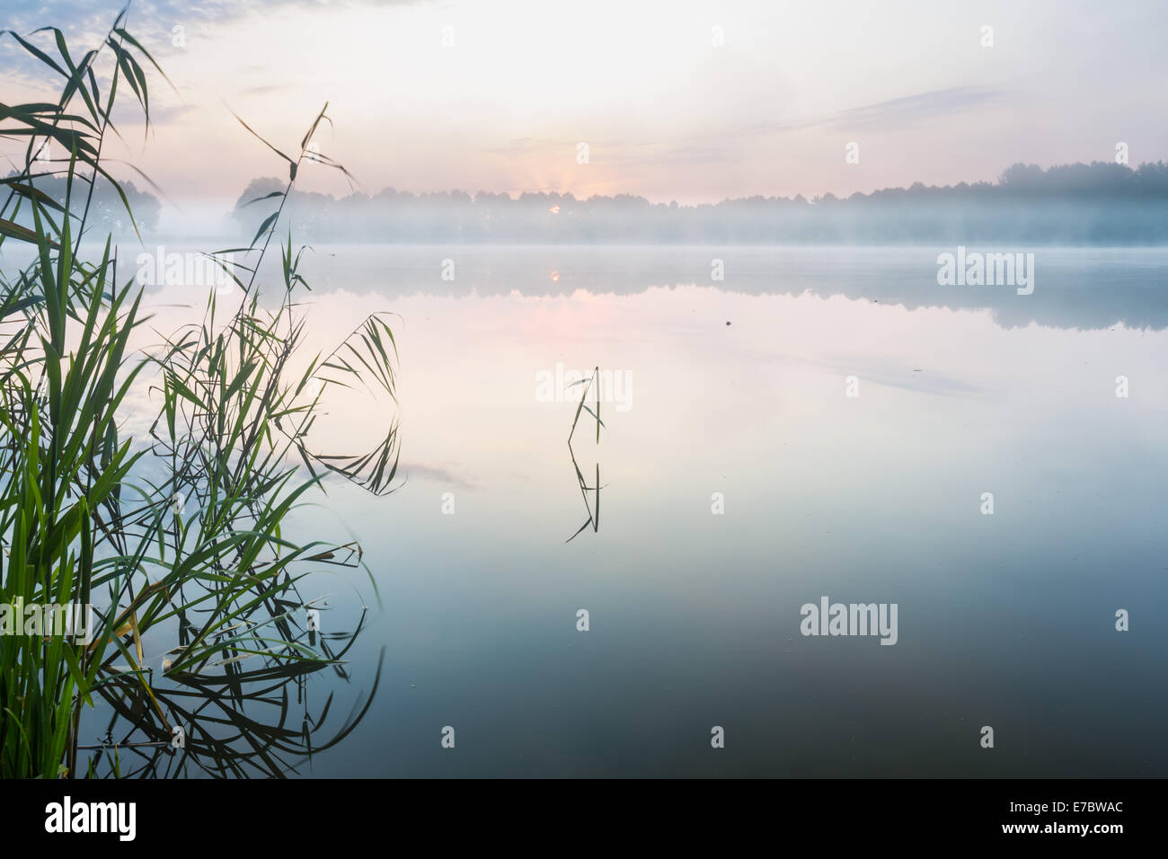 Sonnenaufgang über dem See Stockfoto