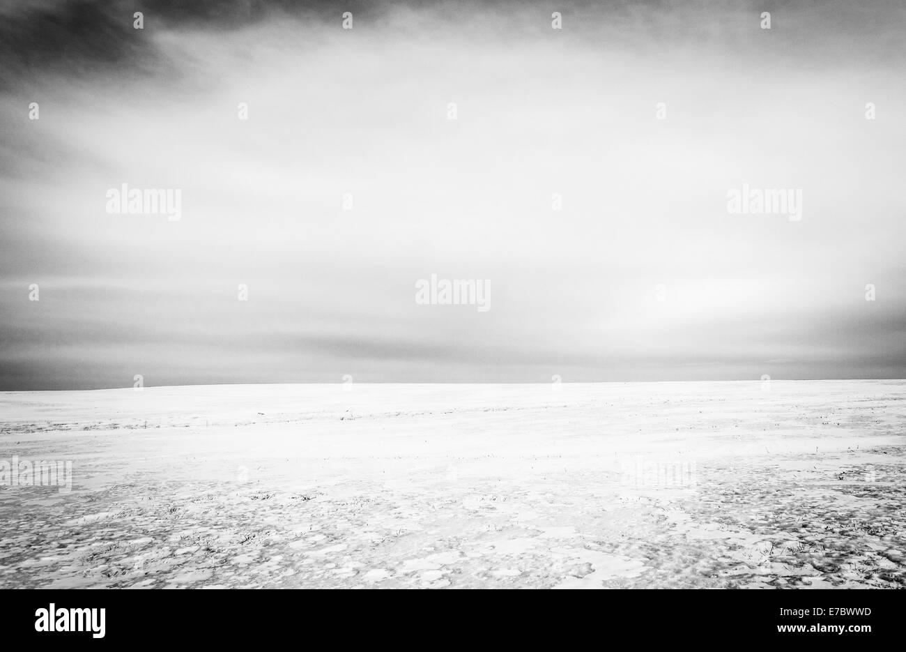 Schneebedeckte Feld in Adams County, Pennsylvania. Stockfoto