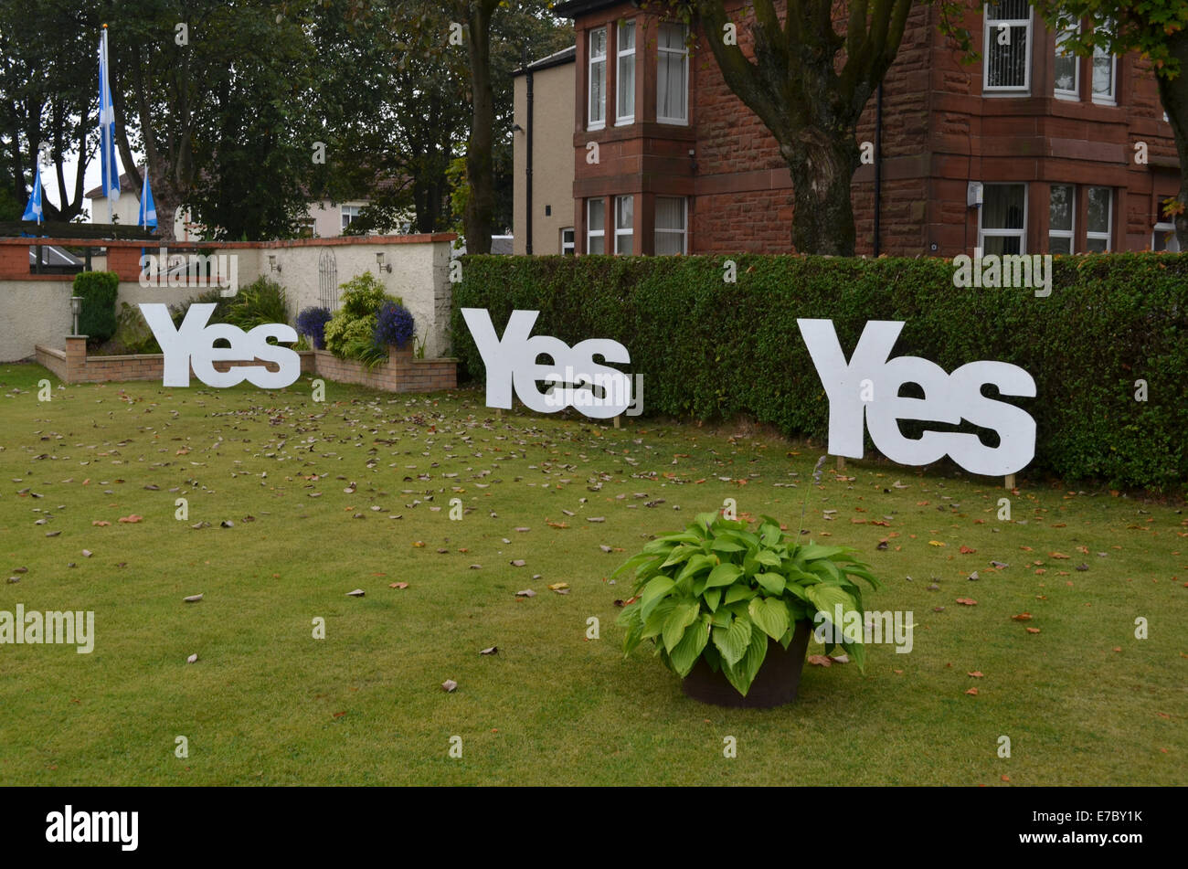 Drei große Zeichen ja in einem Garten in Glasgow, Schottland. Es ist nicht zu verkennen, wie die Abstimmung hier geht Stockfoto