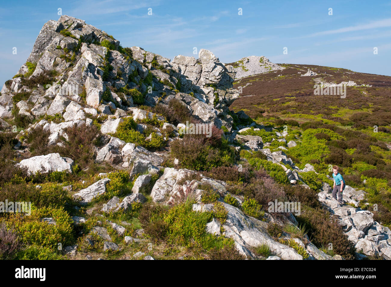 Die Stiperstones National Nature Reserve, Shropshire Stockfoto