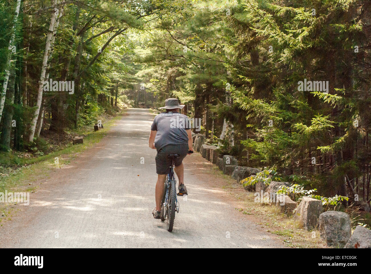 Mountainbiken im Acadia Nationalpark in Maine, USA Stockfoto