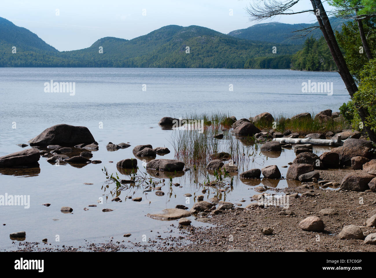 Eagle Lake im Acadia National Park im Acadia National Park