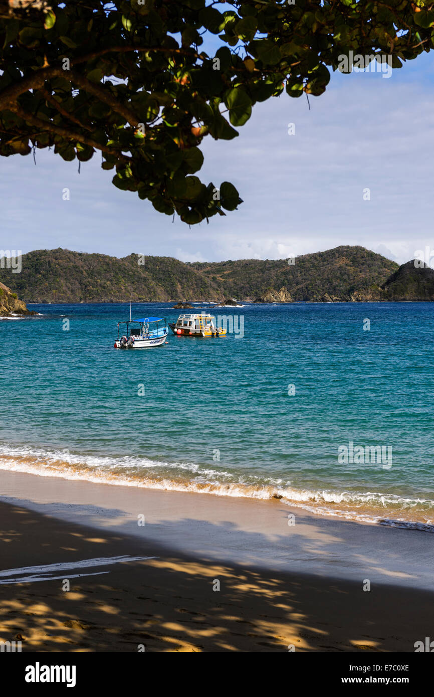 Blick über Batteaux Bay vom Blue Waters Inn Resort in Speyside, Eastern Tobago. Stockfoto