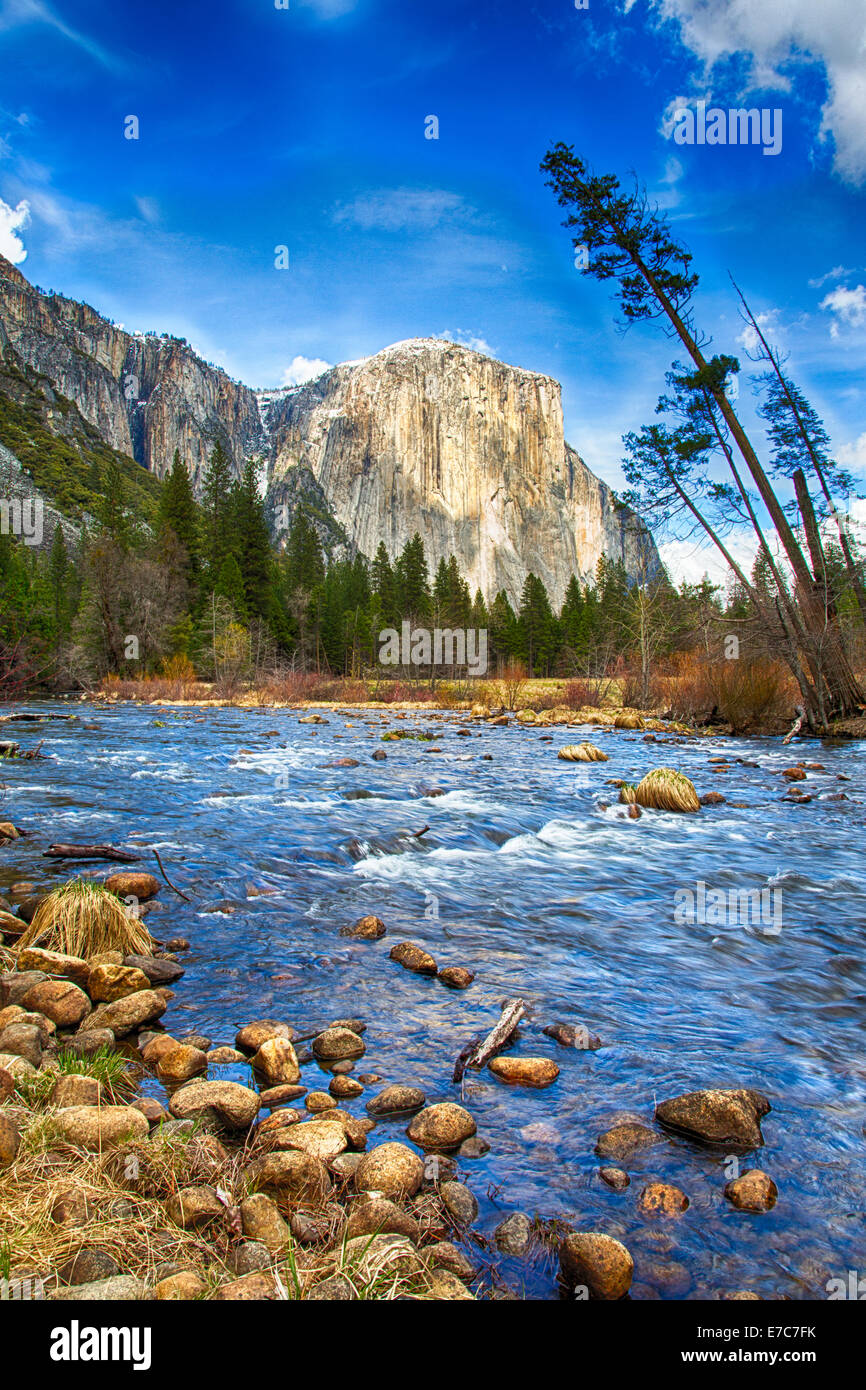 El Capitan thront über dem Talboden. Blick vom Merced River, Yosemite National Park, Kalifornien. USA Stockfoto