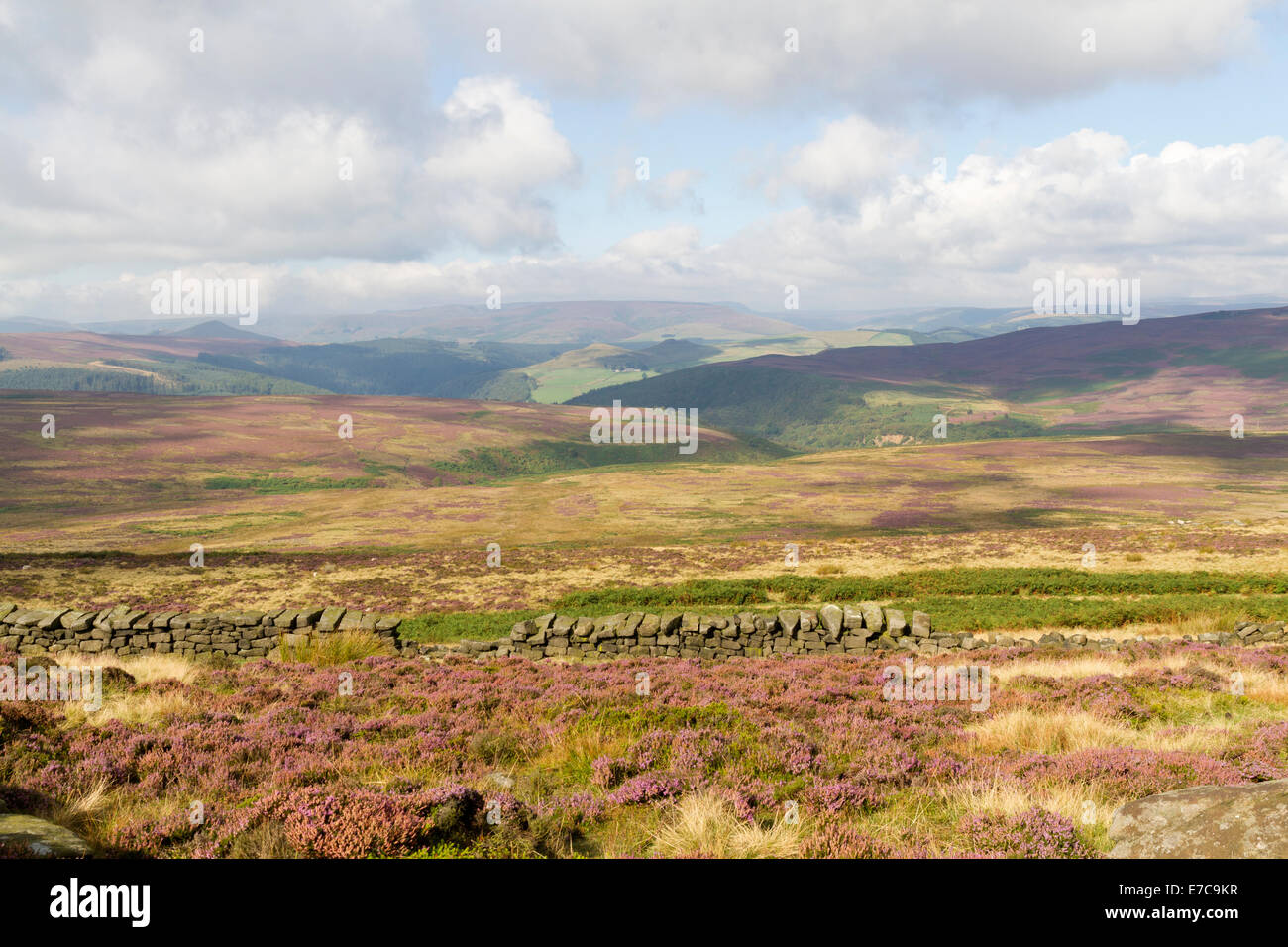 Blick über den Peak District Moorlandschaften von Stanage Edge mit den Kinder plateau in weiter Ferne Stockfoto