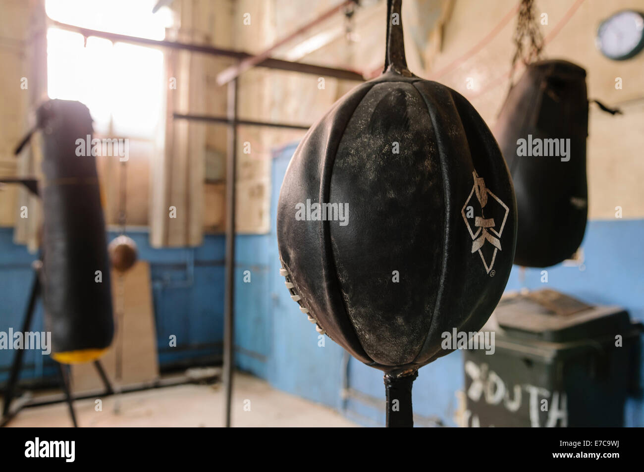Punchball in einem verlassenen Boxclub. Stockfoto