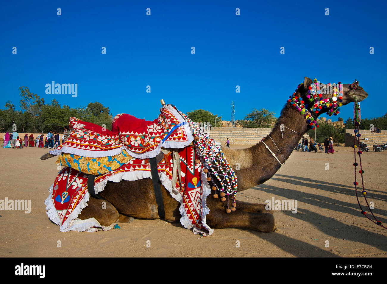 Ein Kamel dekoriert für das Desert Festival in Jaisalmer, Indien Stockfoto