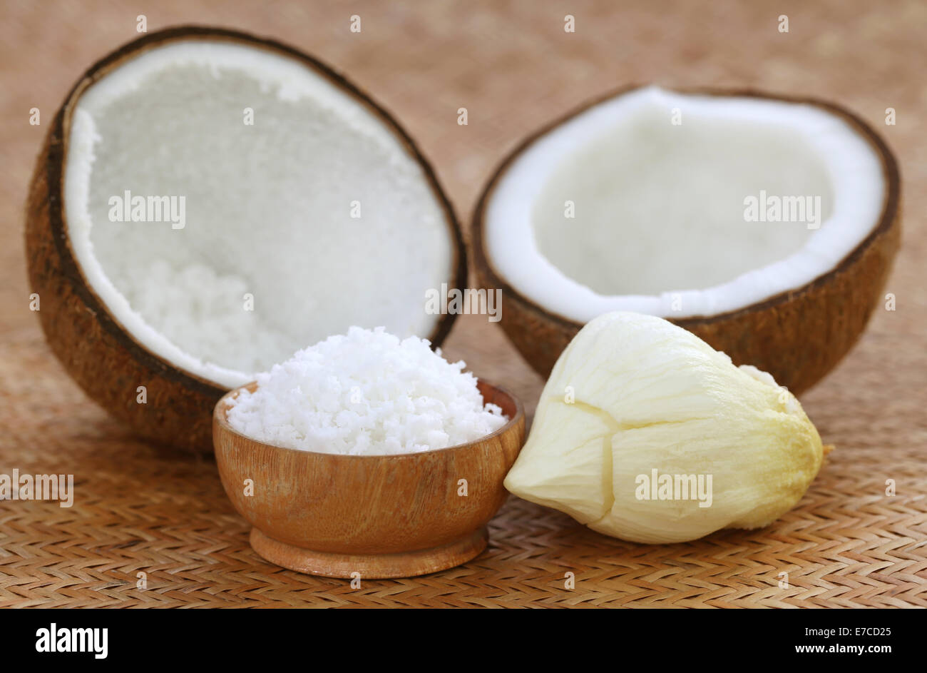 Kokosraspeln mit Sprout mit selektiven Fokus Stockfoto