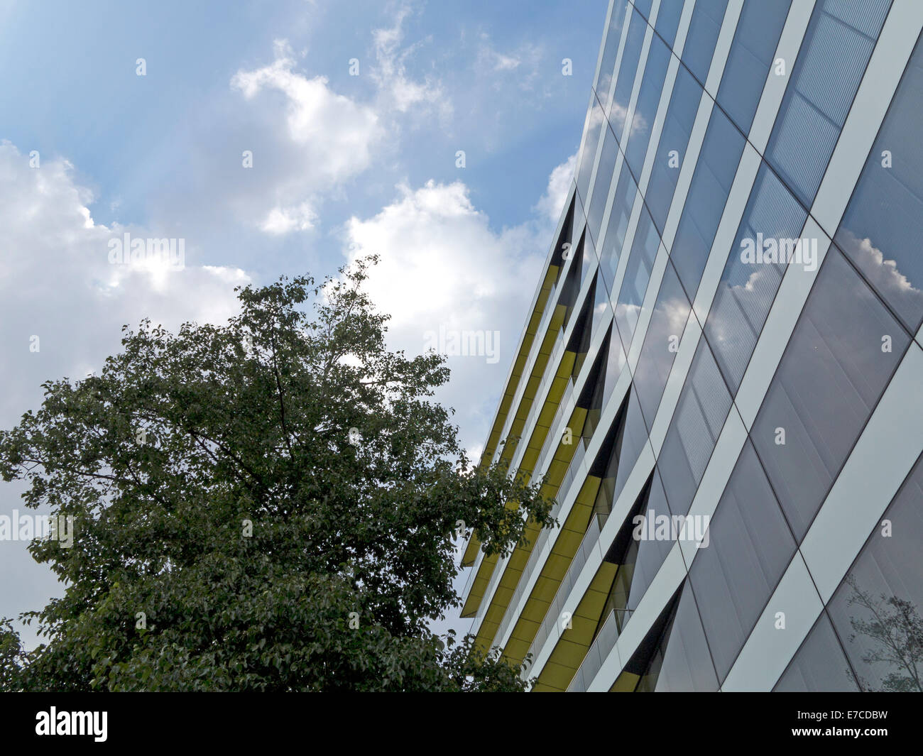 Blickte zu modernen Glas- und Stahlbau gegen ein strahlend blauer Himmel mit leichten Wolken und Baum Stockfoto