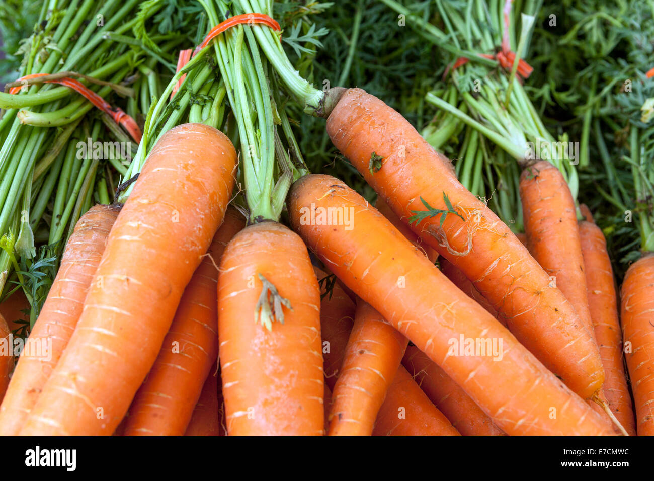 Karotten, Karotten Stockfoto