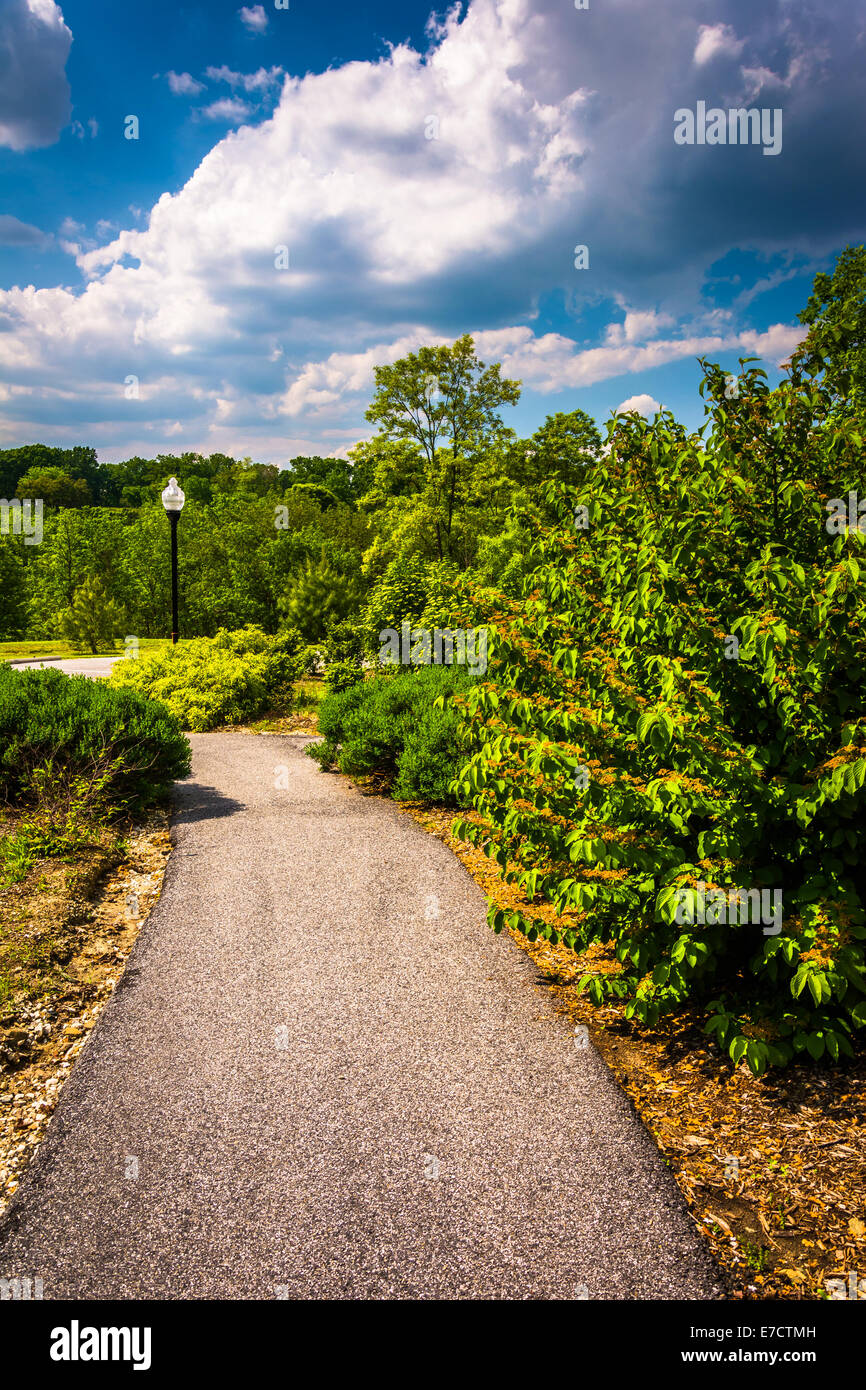 Gehweg durch Cylburn Arboretum in Baltimore, Maryland. Stockfoto