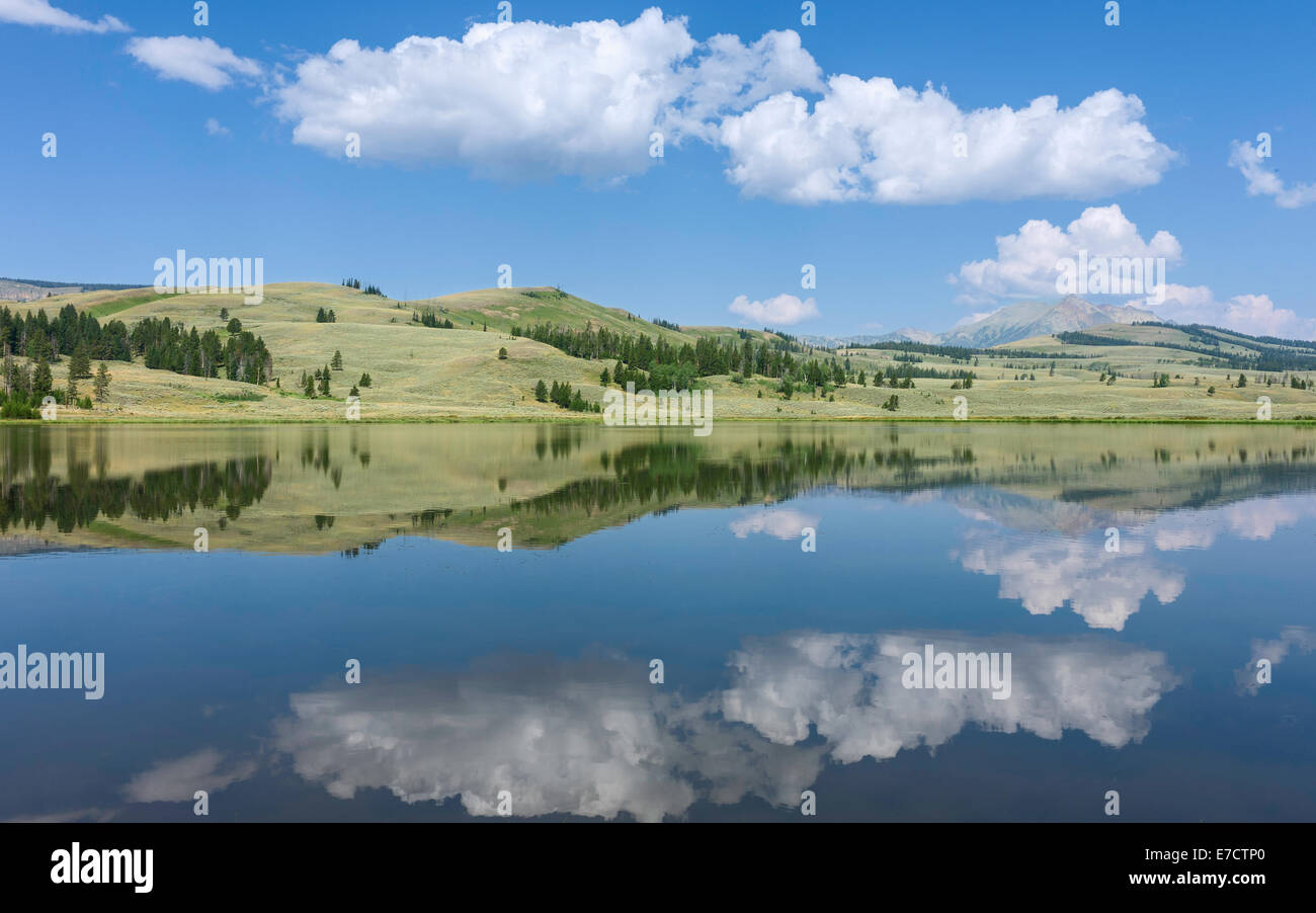 Reflexionen der Berge, Himmel und flauschige Wolken auf einem ruhigen See im Herzen des Yellowstone National Park in der Nähe von West Yellowstone. Stockfoto