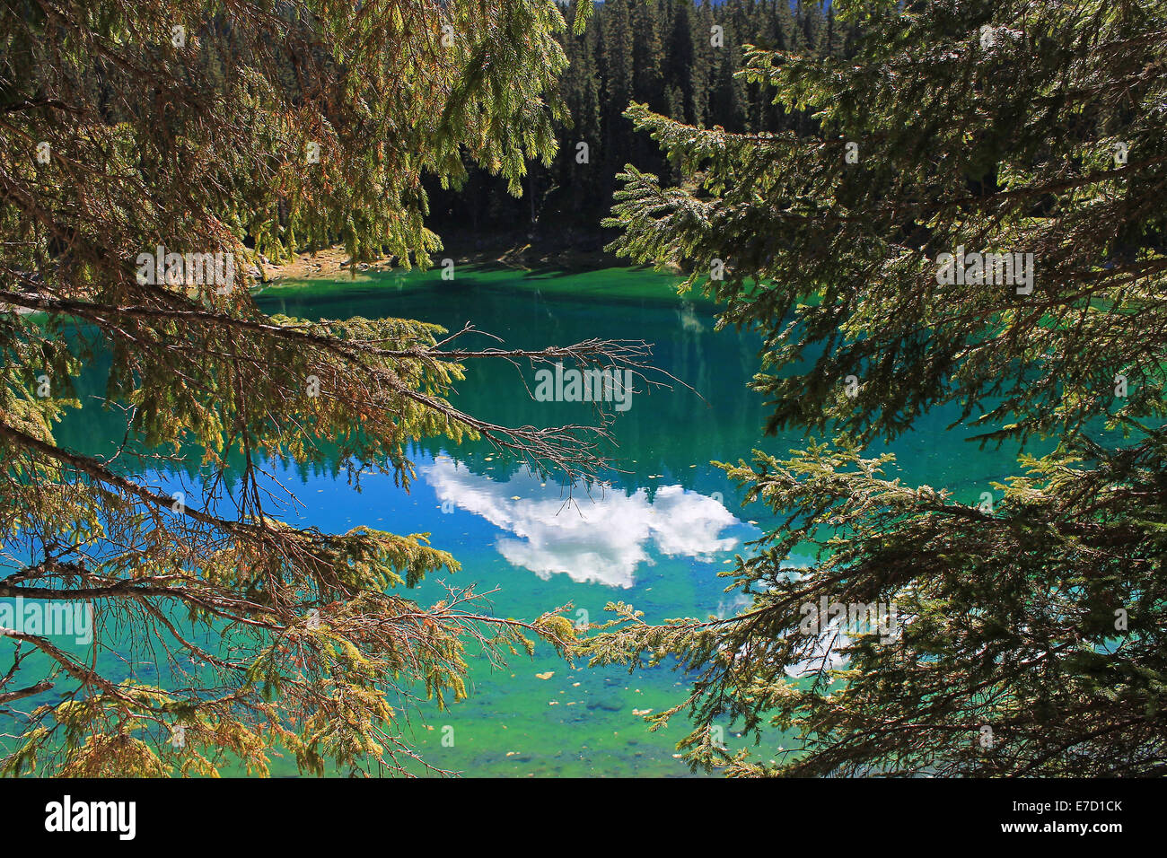 Reflexion einer Wolke im Wasser des Sees Carezza Stockfoto