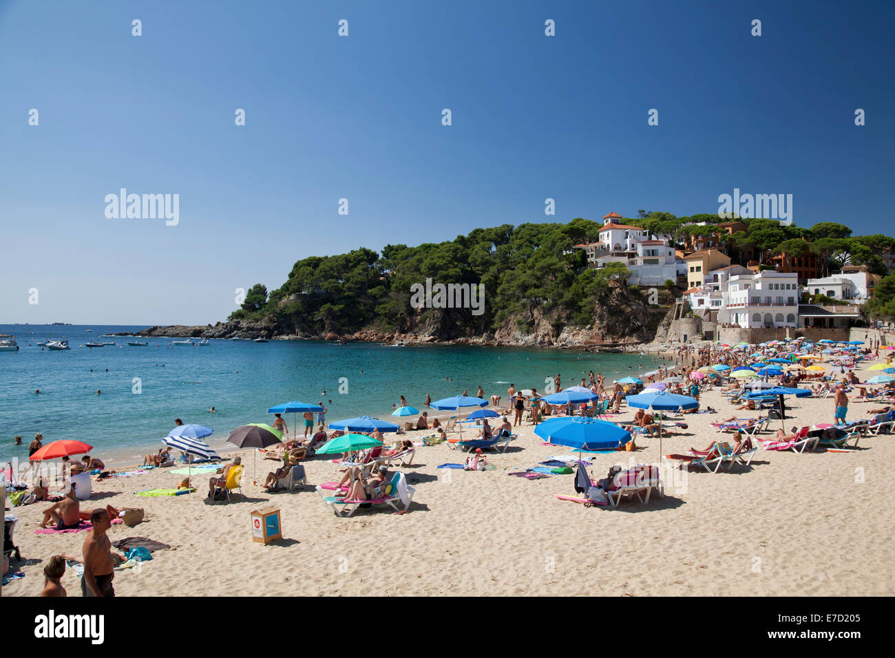 Llafranc Strand, Baix Empordà, Katalonien Stockfoto