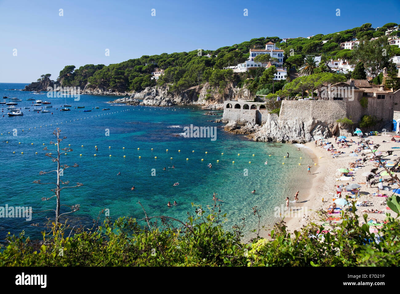 Calella de Palafrugell, Baix Empordà, Katalonien Stockfoto