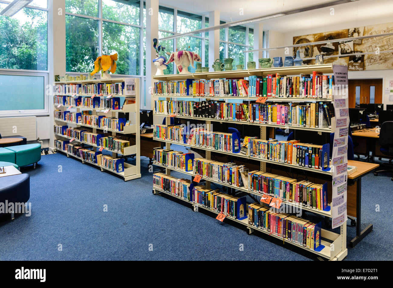 Bücher in den Regalen in einer Schulbibliothek Stockfoto