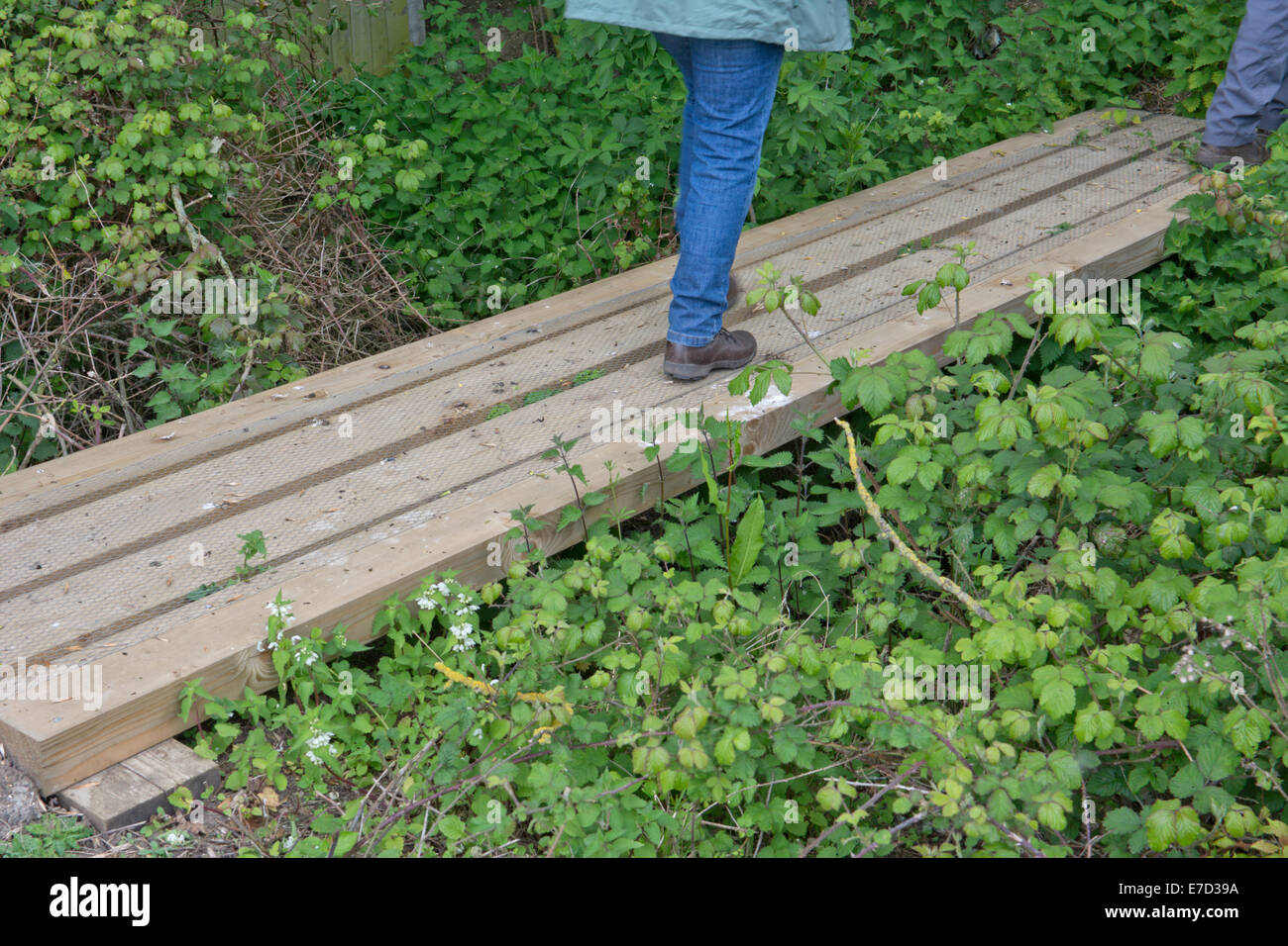 Wanderer, die mit einer Brücke aus Holzbrettern über einen Graben Stockfoto