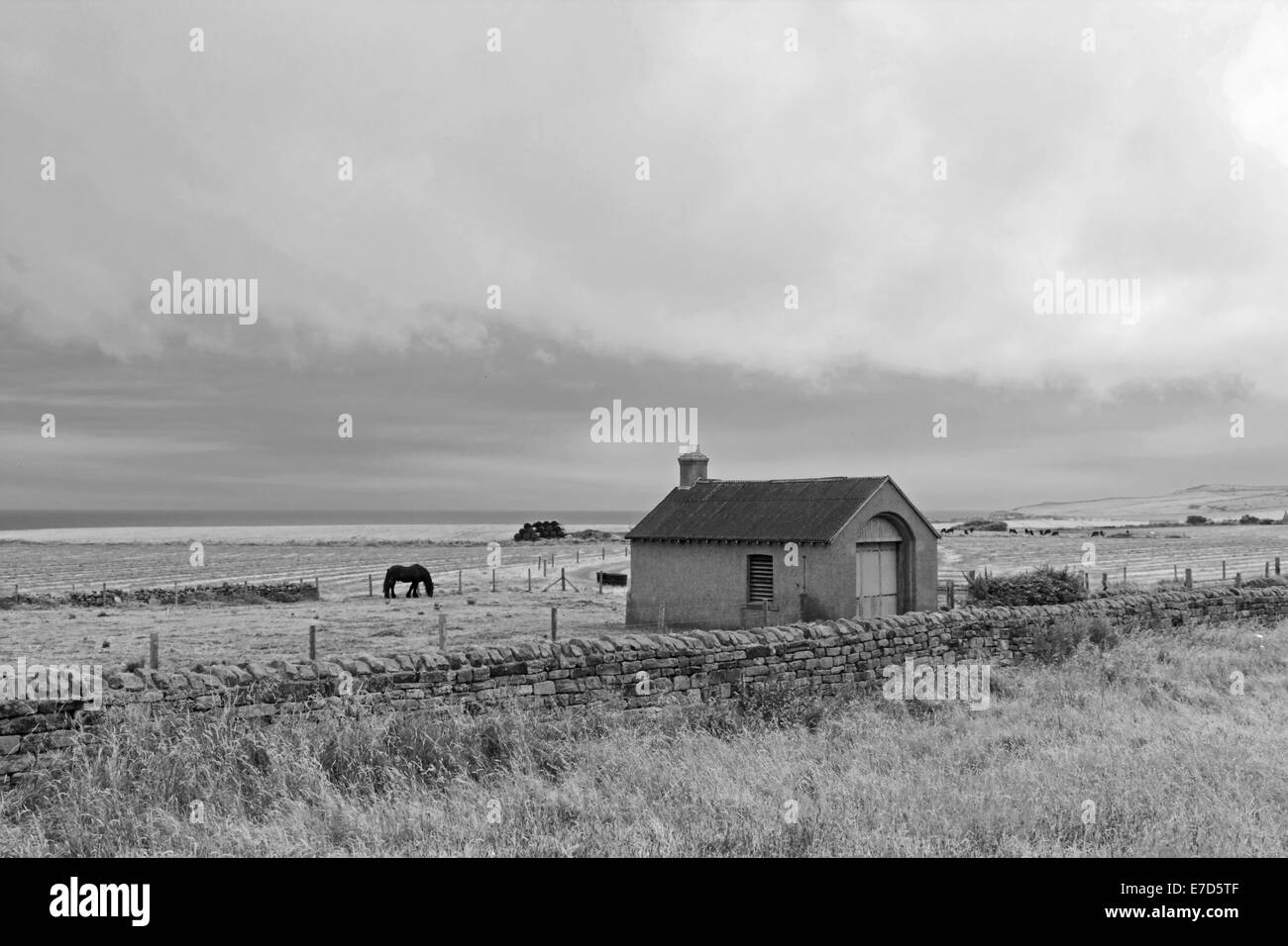 Whitby Abtei, North Yorkshire, England, UK. Stockfoto