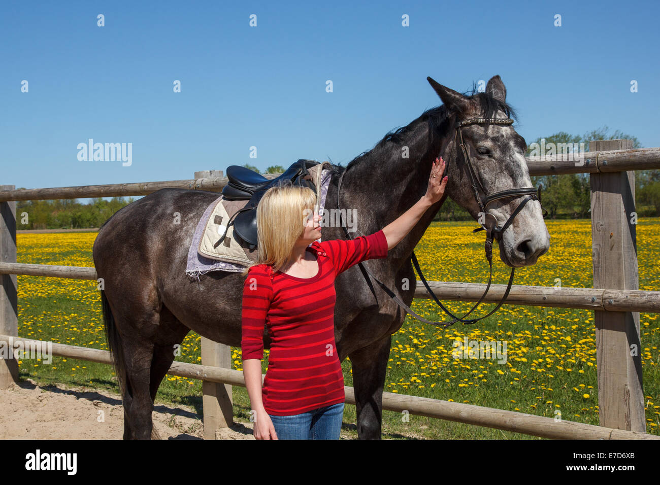 Eine Frau und ein Pferd Stockfoto