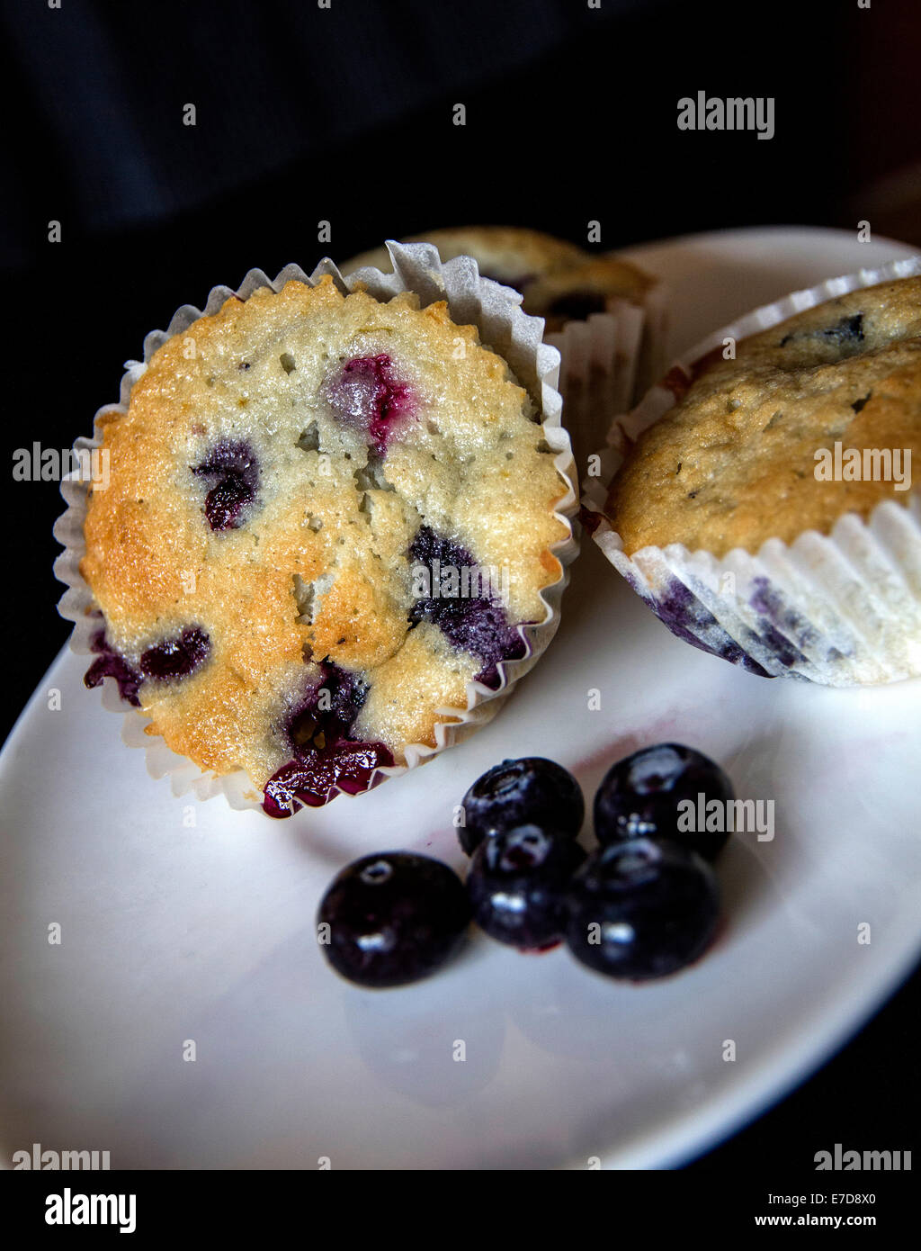 Blaubeer-Muffins mit frischen Heidelbeeren auf weißen Teller und schwarzem Hintergrund Stockfoto