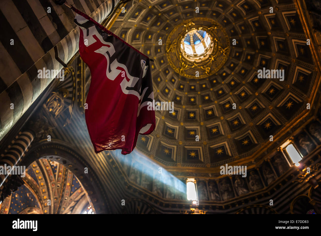 Kuppel der Kathedrale von Siena, Cattedrale di Santa Maria Assunta, Innenansicht, Siena, Toskana, Italien Stockfoto