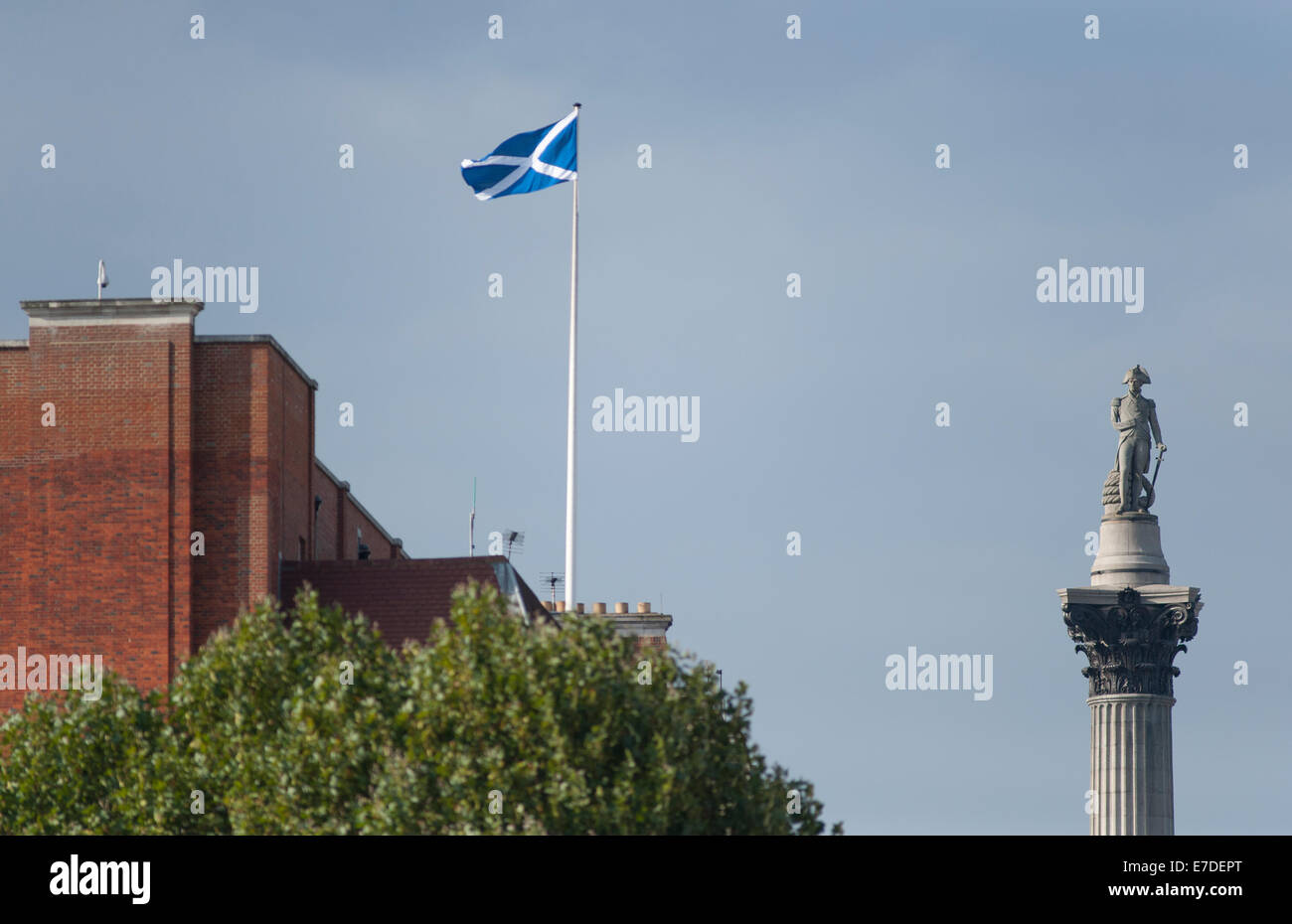 Whitehall, London UK. 14. September 2014. Nelson auf der Spalte auf dem Trafalgar Square blickt auf eine schottische Andreaskreuz Flagge auf einem Regierungsgebäude. Einige der Flaggen wurden über Whitehall Büros aufgeworfen. Bildnachweis: Malcolm Park Leitartikel/Alamy Live-Nachrichten. Stockfoto