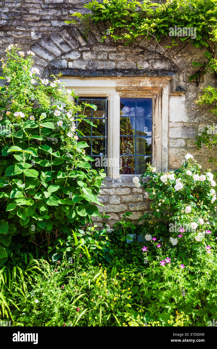 Cotswold Stein zweibogigen, verbleite Fenster und Rosen und Glyzinien. Stockfoto