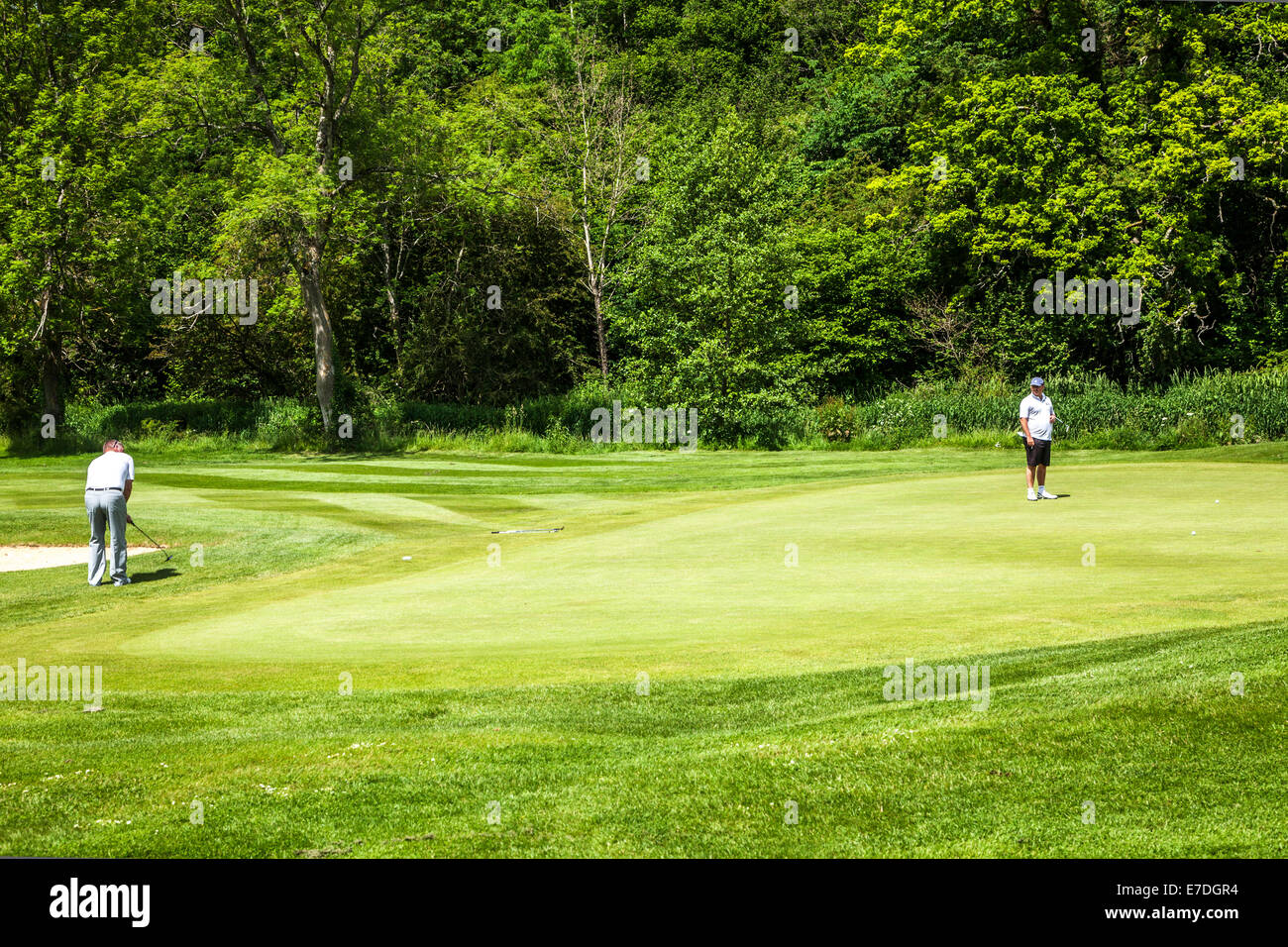 Zwei Golfer spielen auf ein Putting-Green in der Nähe ein Loch auf einem typischen englischen Golfplatz. Stockfoto