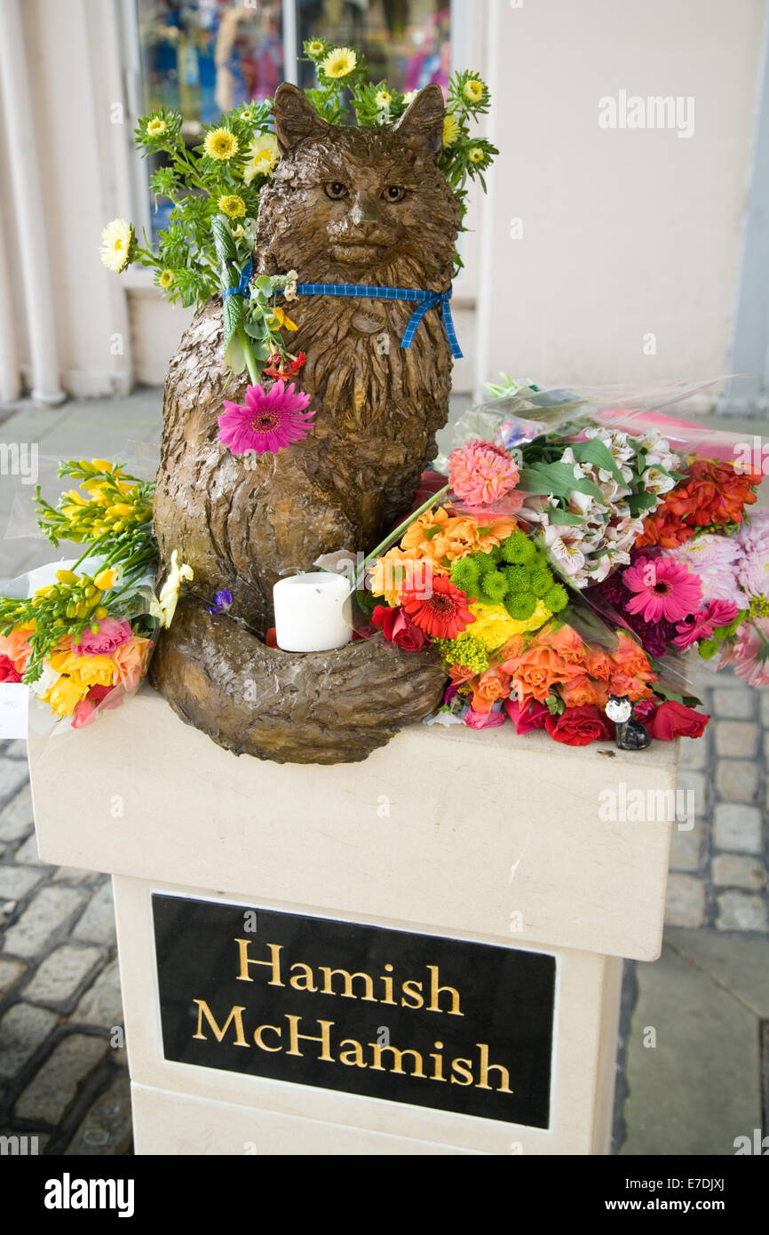 Statue für Hamish McHamish von Str. Andrews, Cool Cat über die Stadt. Stockfoto