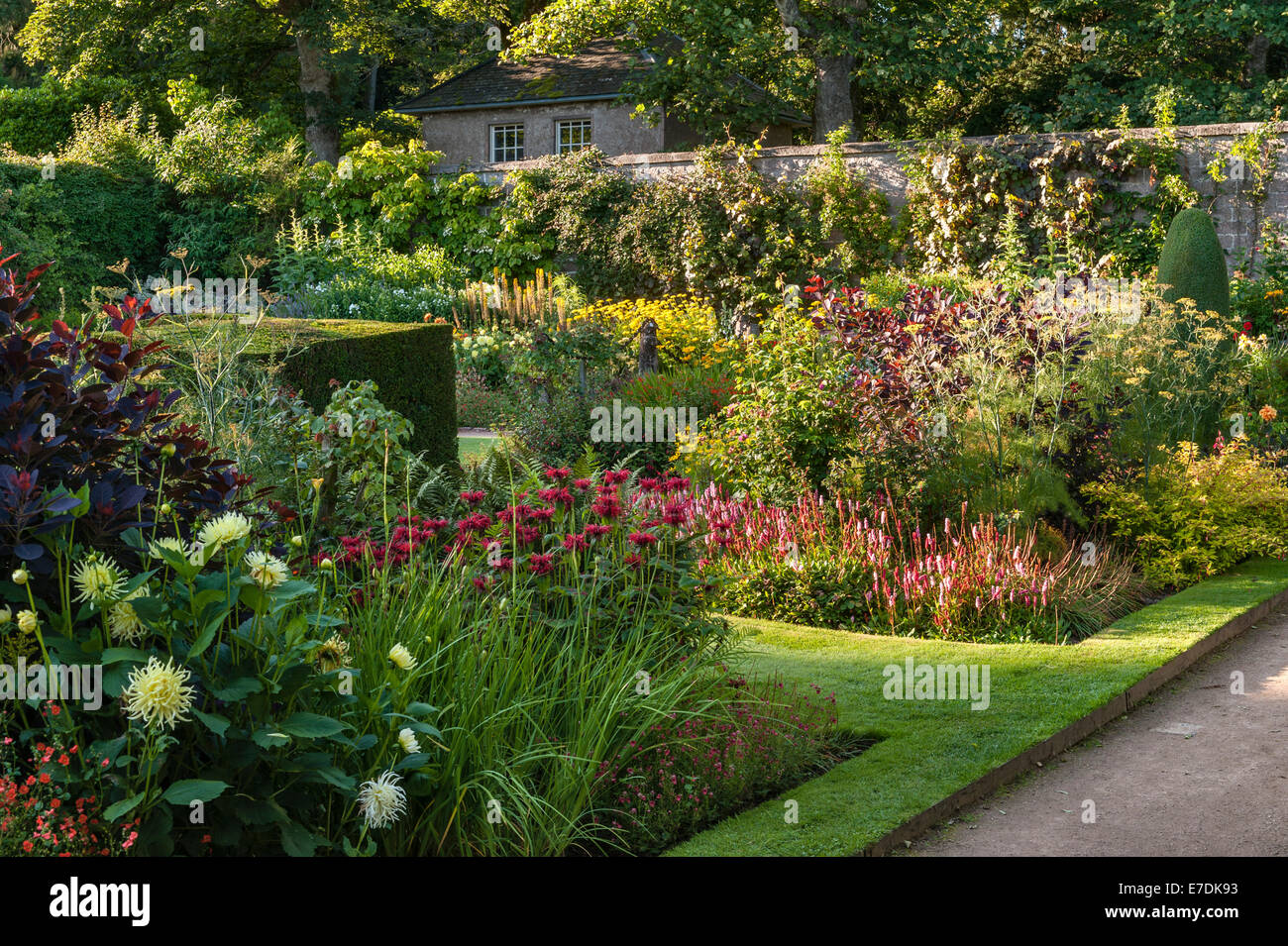 Crathes Castle, Banchory, Schottland, Großbritannien. Dichte Bepflanzung entlang der oberen Terrassen, Spätsommer Stockfoto