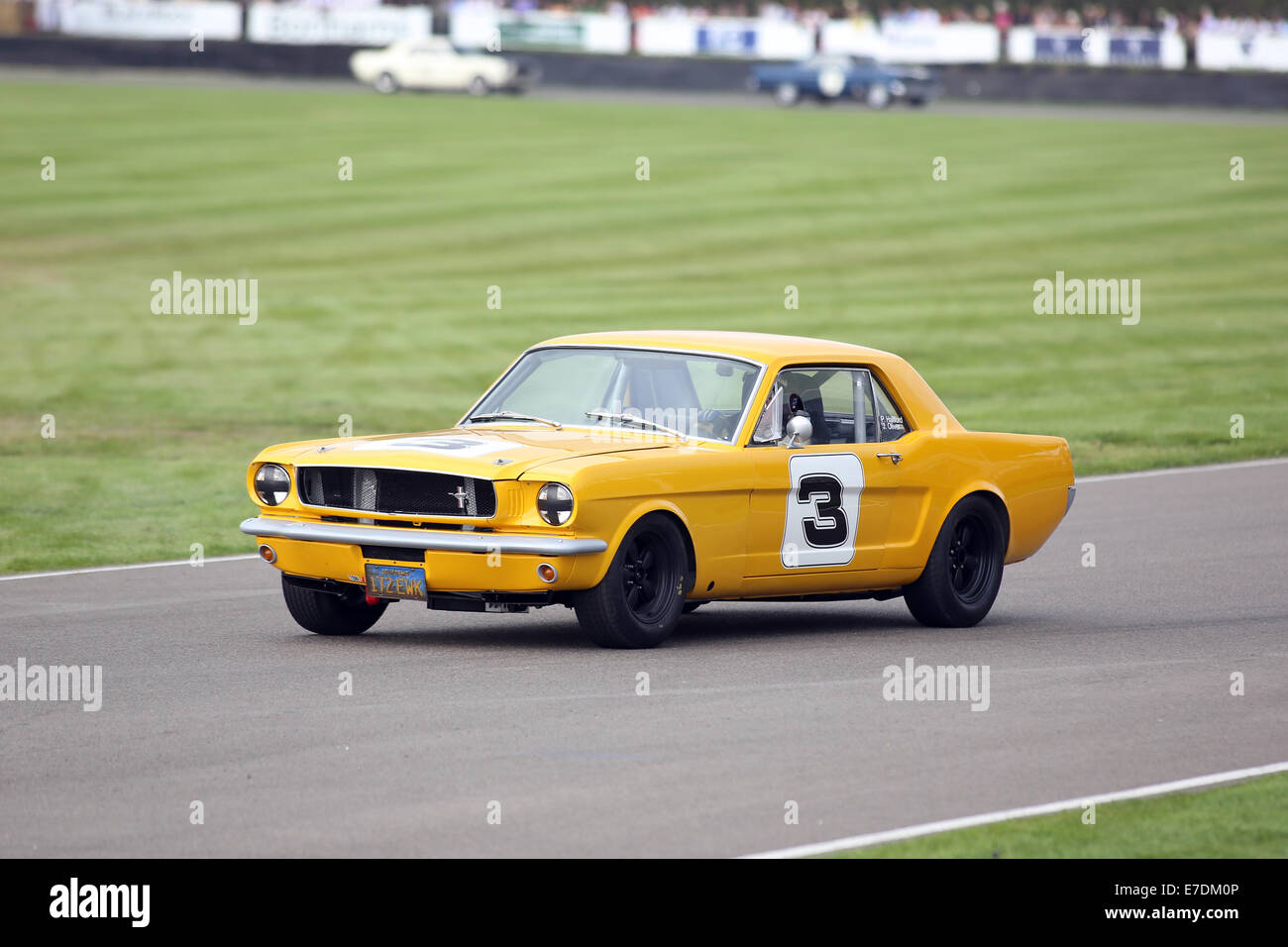 Chichester, West Sussex, UK. 13. Sep, 2014. Bilder vom Goodwood Revival 2014 - The Shelby Cup - ein Rennen für Limousinen von Small-Block V8-Motoren auf den 60. Jahrestag der Small-Block V8-Motor angetrieben. Eine große Anzahl von Ford Mustangs Mariking nahm das Auto 50. Jahrestag auf andere amerikanische Klassiker wie Ford Falcon, Plymouth Barracuda, Mercury Comet Zyklon und Dodge Dart. Bild zeigt: Jackie Oliver fahren ein 1965 Ford Mustang Credit: Oliver Dixon/Alamy Live News Stockfoto