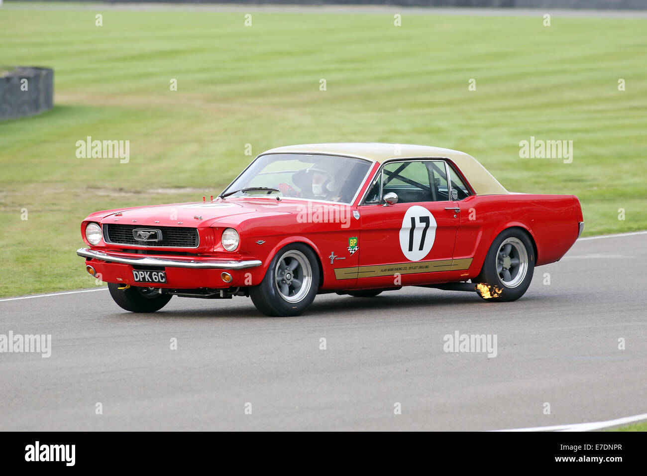 Chichester, West Sussex, UK. 13. Sep, 2014. Bilder vom Goodwood Revival 2014 - The Shelby Cup - ein Rennen für Limousinen von Small-Block V8-Motoren auf den 60. Jahrestag der Small-Block V8-Motor angetrieben. Eine große Anzahl von Ford Mustangs Mariking nahm das Auto 50. Jahrestag auf andere amerikanische Klassiker wie Ford Falcon, Plymouth Barracuda, Mercury Comet Zyklon und Dodge Dart. Bild zeigt: Craig Davis in einem flammenden 1965 Ford Mustang Credit: Oliver Dixon/Alamy Live News Stockfoto