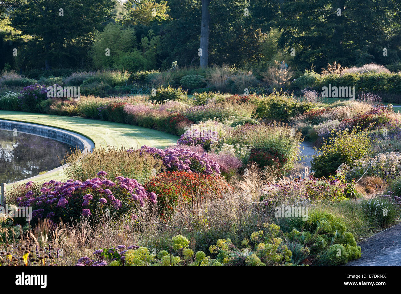 Der Royal Horticultural Society (RHS) Gärten, Wisley, Surrey, UK. Die Grenzen rund um den See bei Sonnenaufgang im September Stockfoto