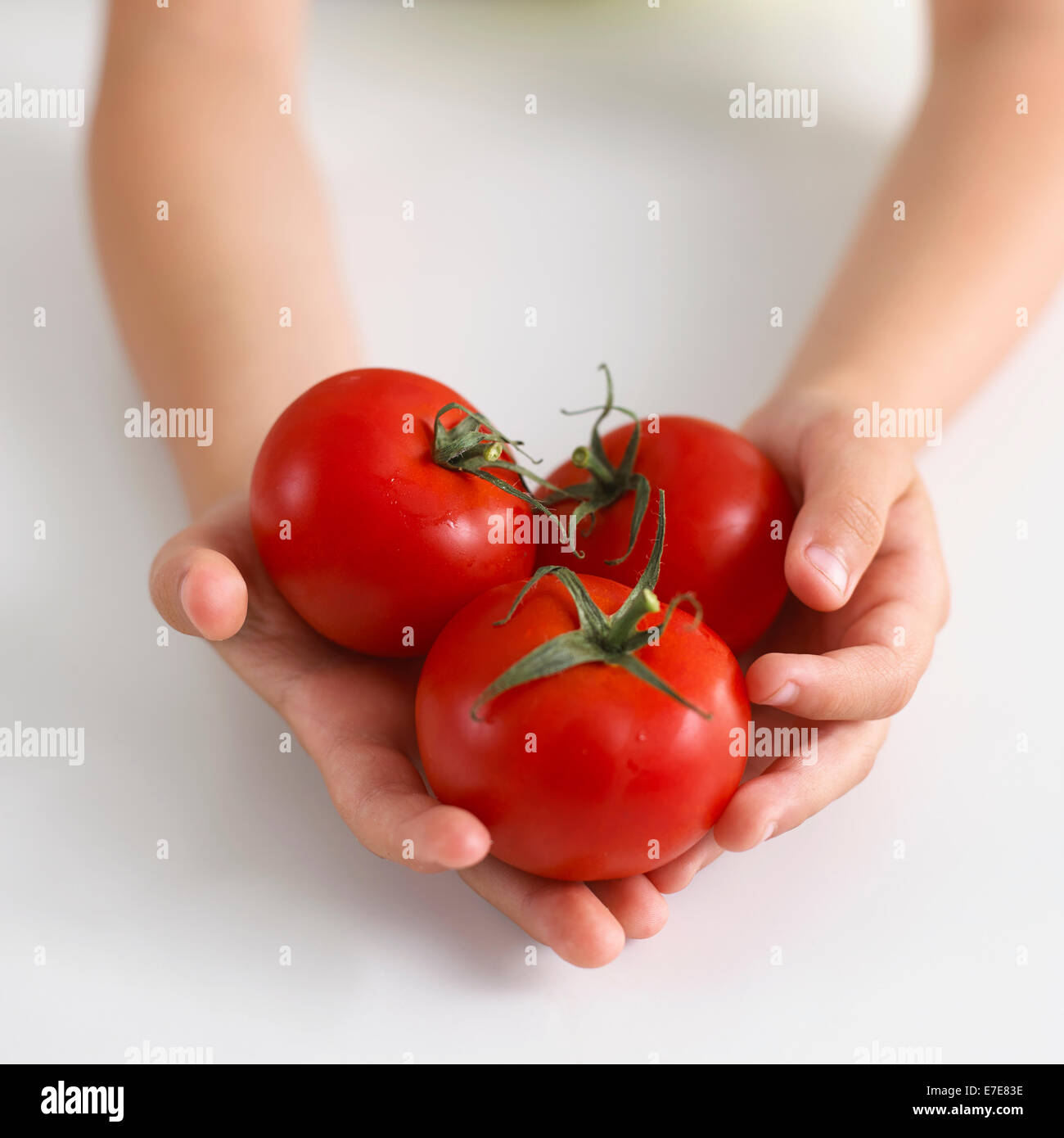 Handvoll Tomaten Stockfoto