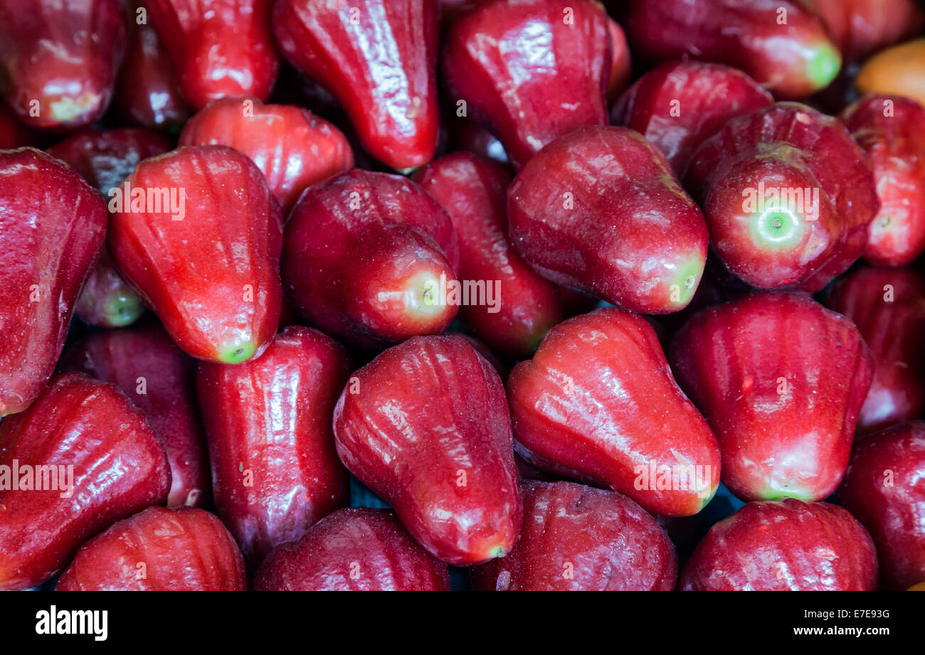 Rose-Äpfel auf einem lokalen Markt in Thailand Stockfoto