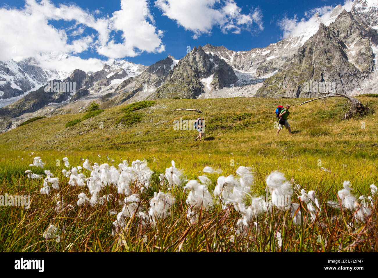 Die Dent Du Geant in der Mont-Blanc-Massiv, Italien, mit Wanderer die Tour du Mont-Blanc zu tun. Stockfoto Die Dent Du Geant in der Mont-Blanc-Massiv, Italien, mit Wanderer die Tour du Mont-Blanc zu tun. Stockfoto