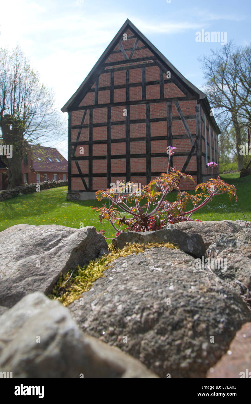 Fachwerk-Kirche, Carwitz, Feldberger Seenlandschaft, Mecklenburg-Vorpommern, Deutschland Stockfoto