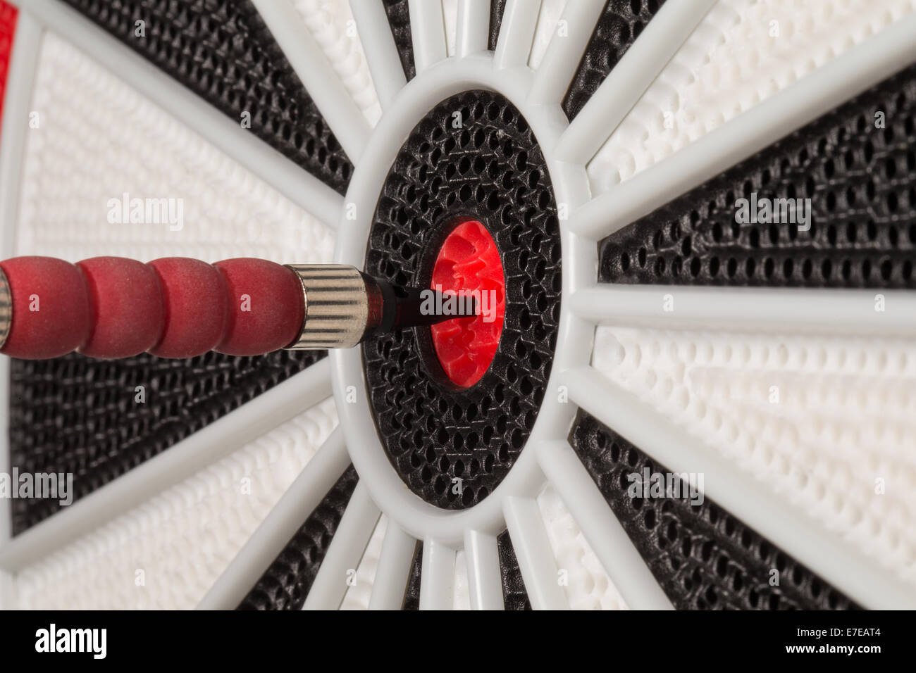 Bullseye Makro / Nahaufnahme.  Horizontale Ausrichtung. Stockfoto