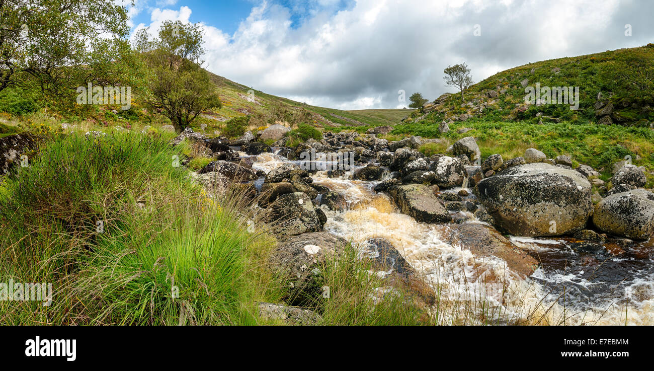 Tavy Cleave eine steile einseitige Schlucht wo der Fluss Tavy durch Willsworthy auf Dartmoor National Park in Devon fließt, Towar suchen Stockfoto