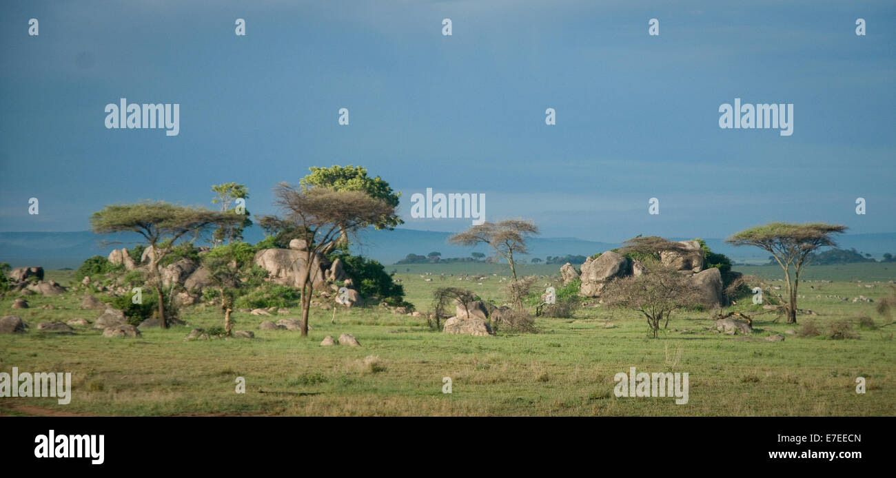 Zwei Heißwasserquellen in der Serengeti Stockfoto