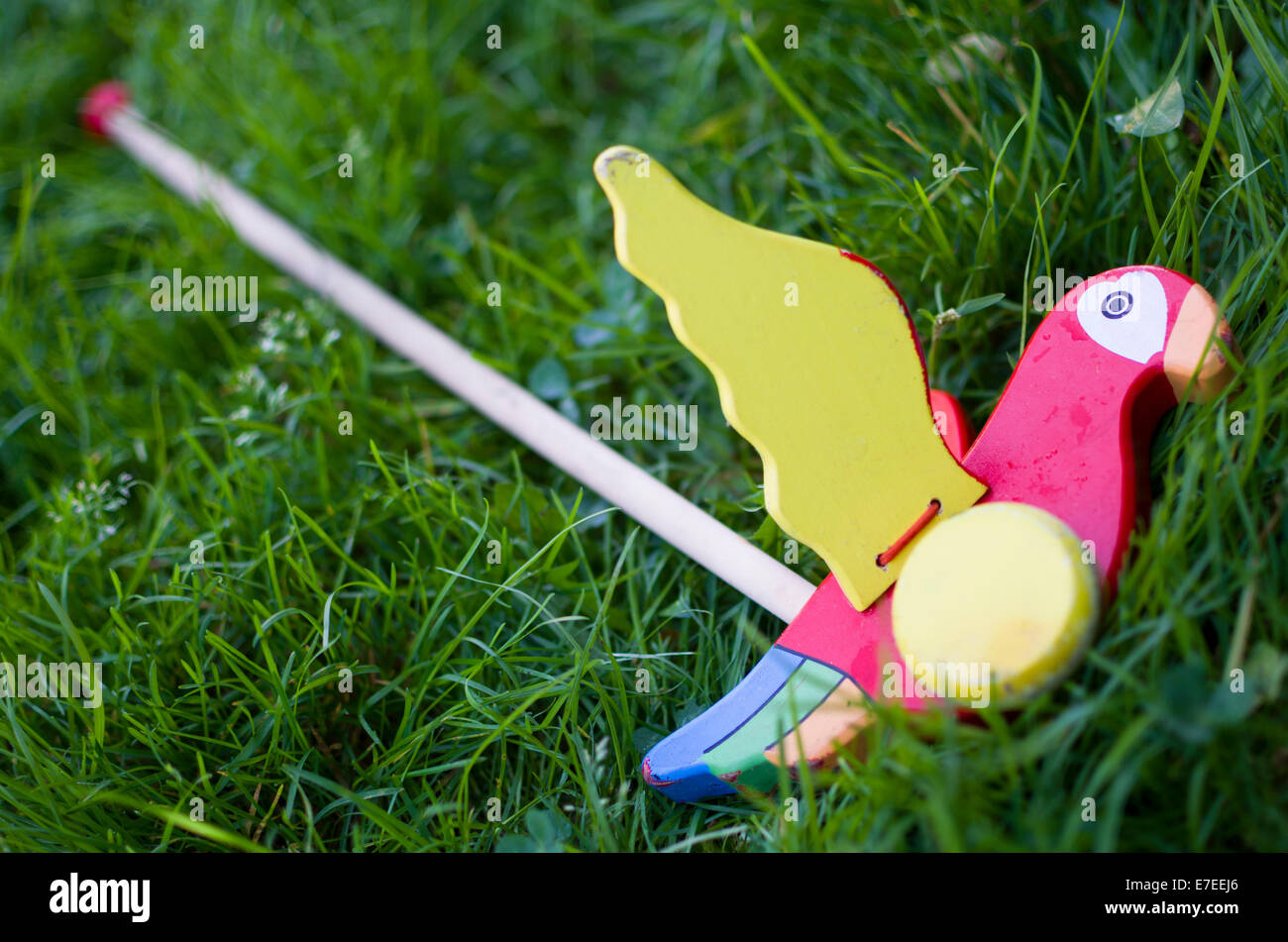 Farbige Holzspielzeug Papagei auf der grünen Wiese Stockfoto