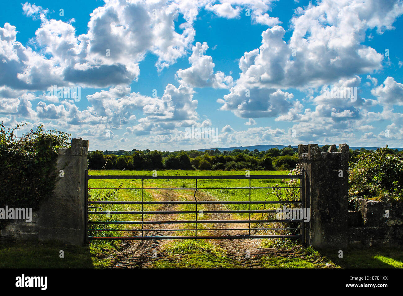 Ein Tor zu einem Feld in Irland Stockfoto