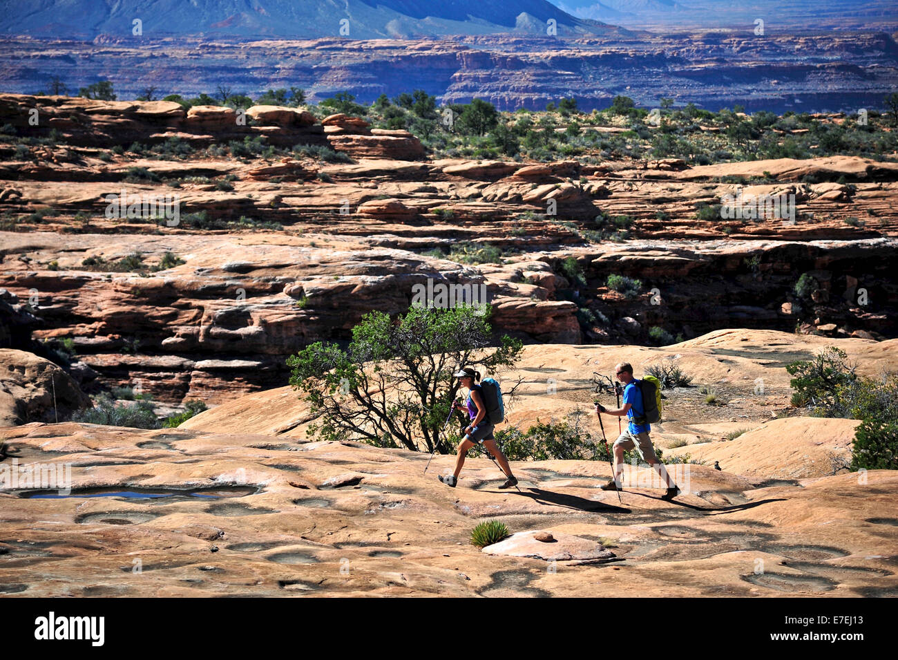 Wanderer auf dem Sandstein Esplanade des Thunder River Trail unterhalb der North Rim des Grand Canyons außerhalb Fredonia, Arizona November 2011. Die 21,4-Meile Schleife entstammt 2000-Füße in 2,5 Meilen durch Coconino Sandstein der Bill Hall Trailhead, con Stockfoto